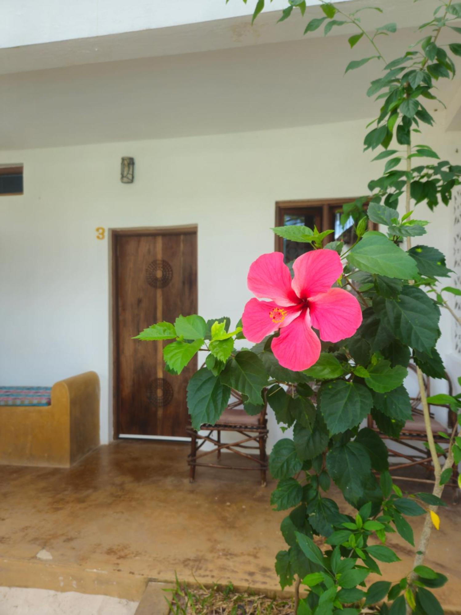 Bed and Breakfast Kiganja Matemwe  Exterior foto